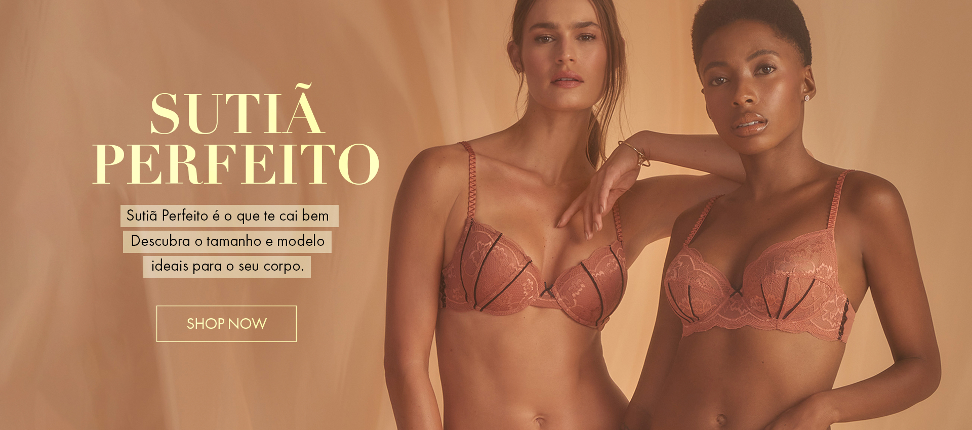 Sutiã Perfeito