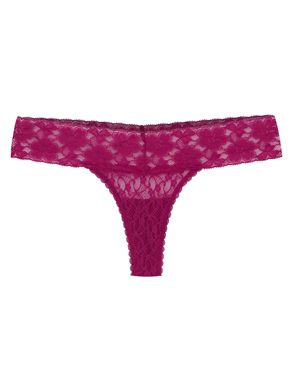 Calcinha Fio Renda Sweet Lace Pink Wild Aster
